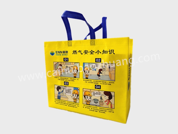 彩匯包裝 無紡布定制手提袋  企業(yè)宣傳用手提袋